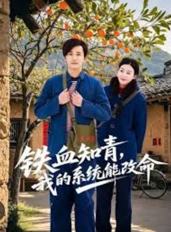 铁血知青，我的系统能改命