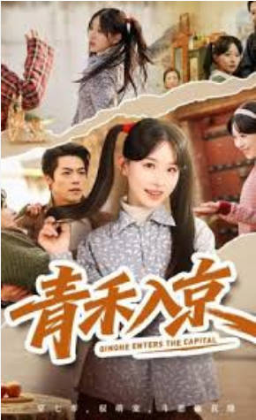 青禾入京